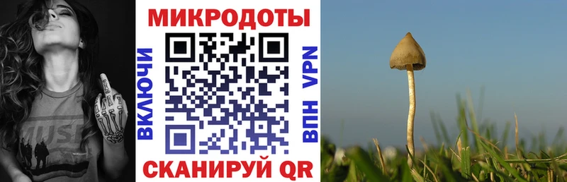 Псилоцибиновые грибы Psilocybe  наркота  Йошкар-Ола 