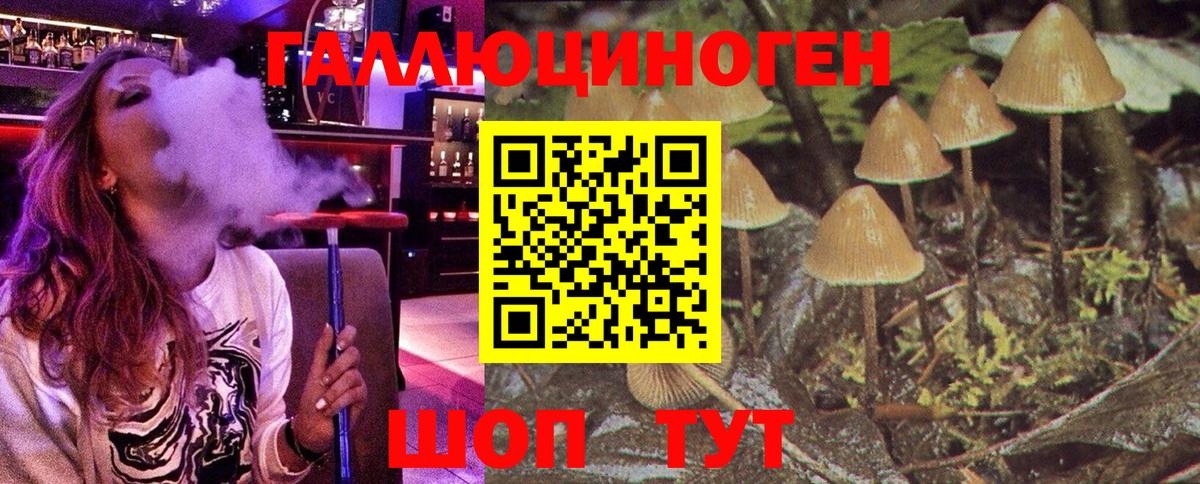 Псилоцибиновые грибы Cubensis Йошкар-Ола