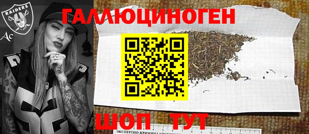 Галлюциногенные грибы Psilocybe  купить  сайты  Йошкар-Ола 